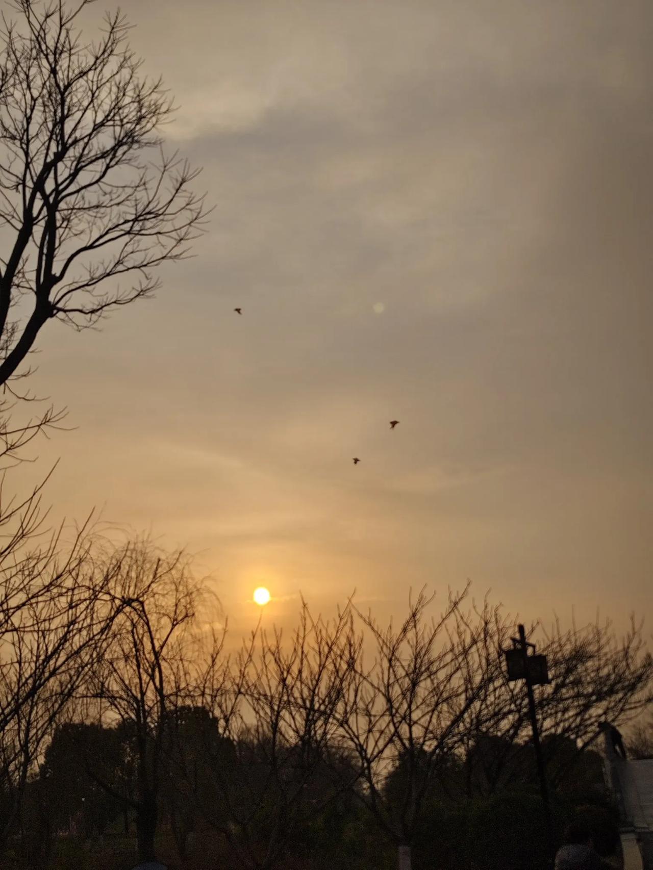 夕阳渐坠枝桠里，春风微拂风筝起。