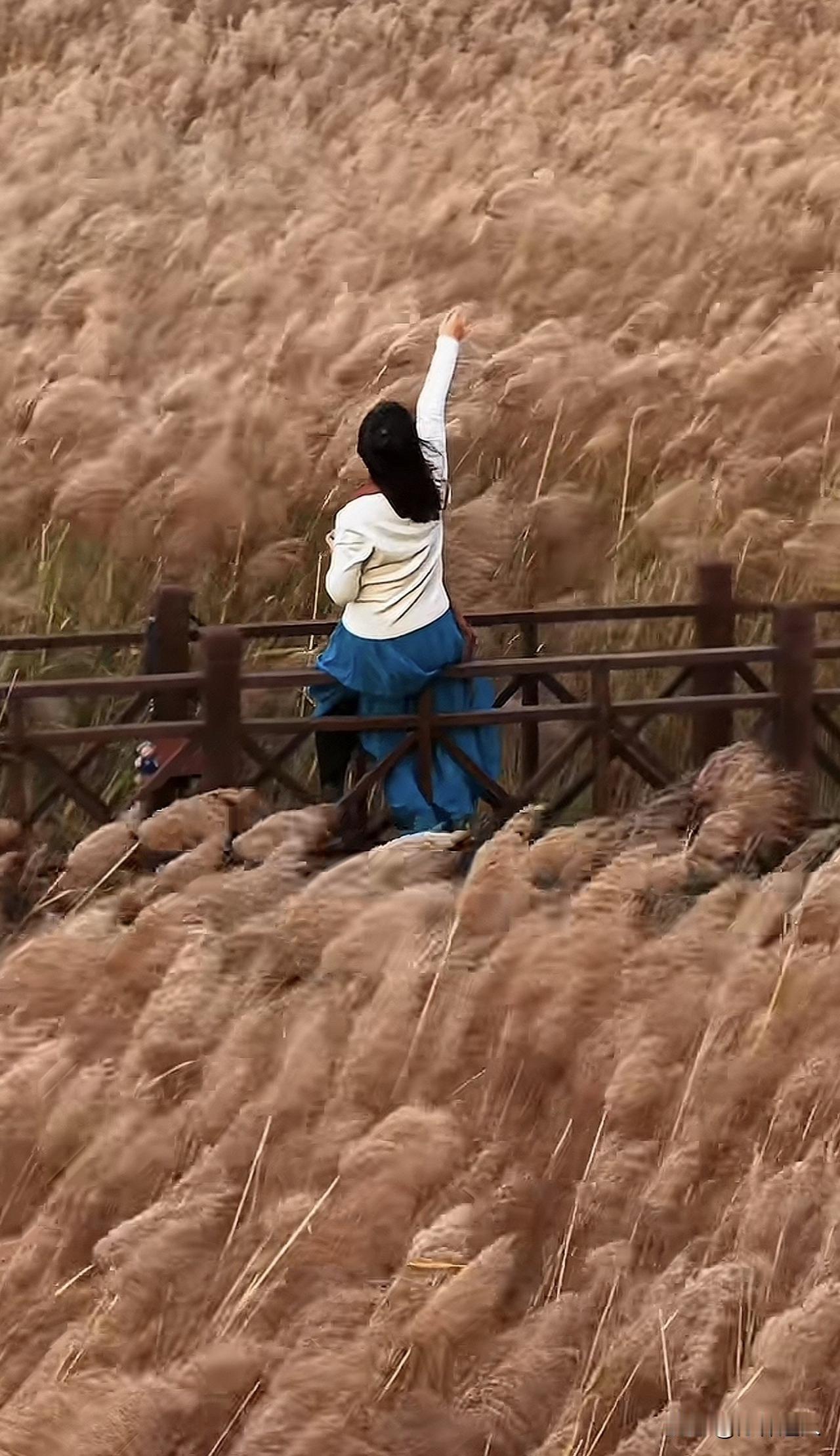 新思维：我爱你的真相，你给我力量，我有心伤。

网络上，听了太多女生关于爱情的“