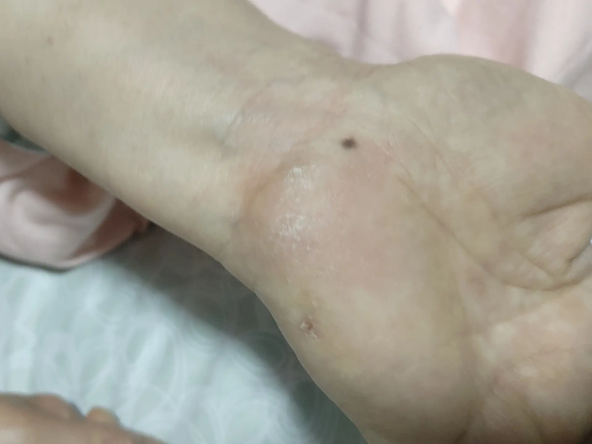 每日分享