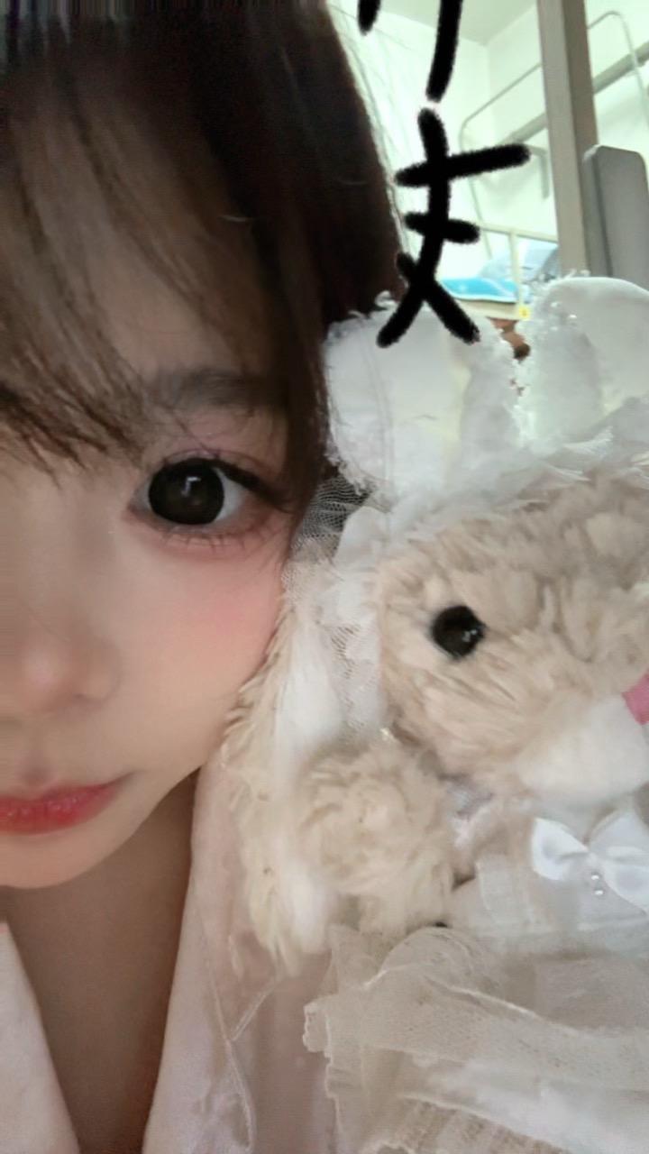 终于发完了…哦吼吼(｡•﹃•｡)