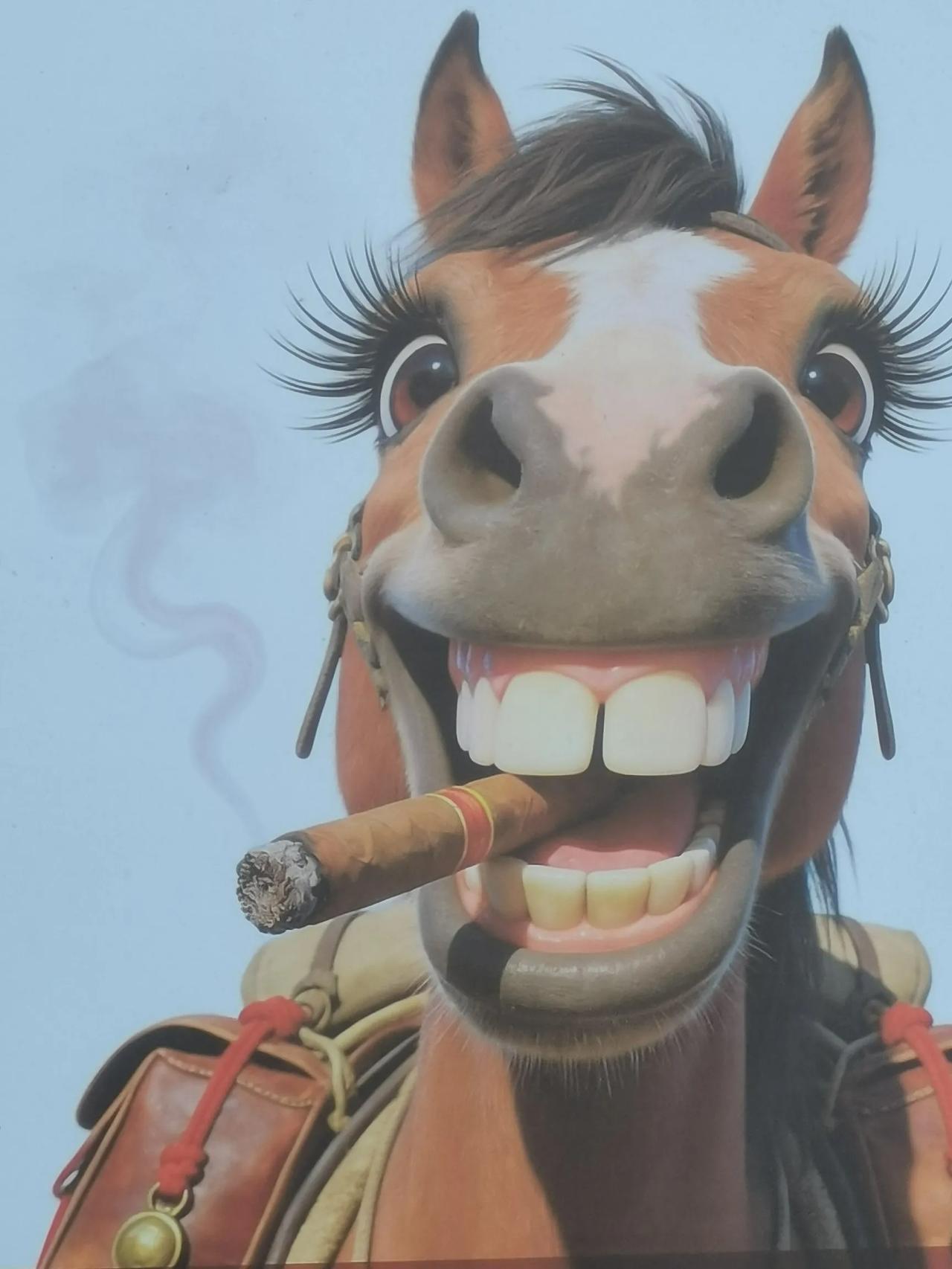 这马也是风光无限
这次可以炫耀一下自己了啊
祝大家友友们马年吉祥快乐！马到成功！