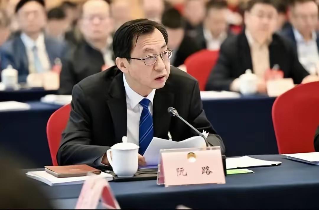 阮路原就职重庆金融系统，曾被行业称为“小贷教父”，但今年他却被依法查处开除党籍和