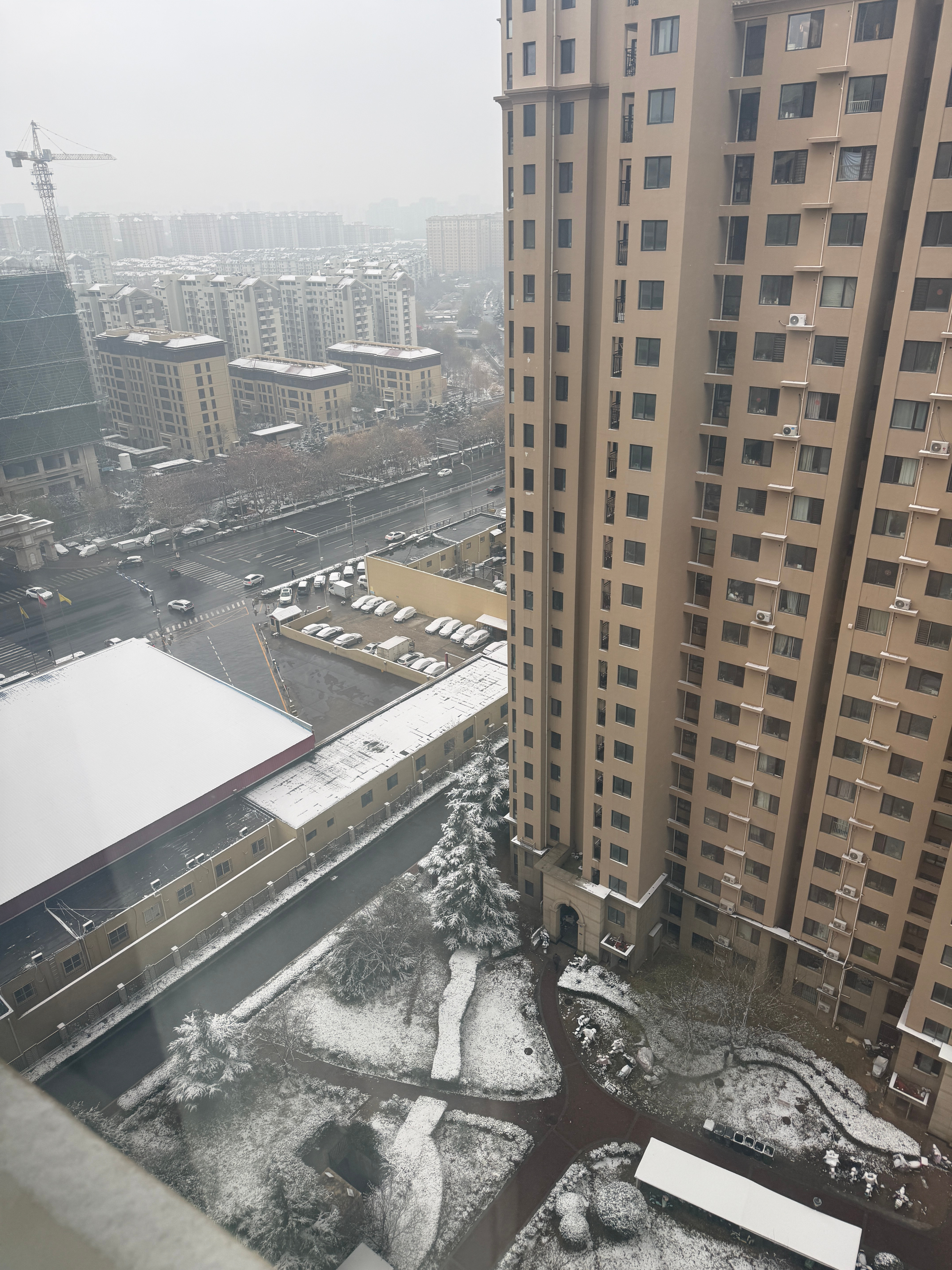 青岛下雪啦，没想到能在青岛看到这个场景～等会我就带着我家狗下去玩雪