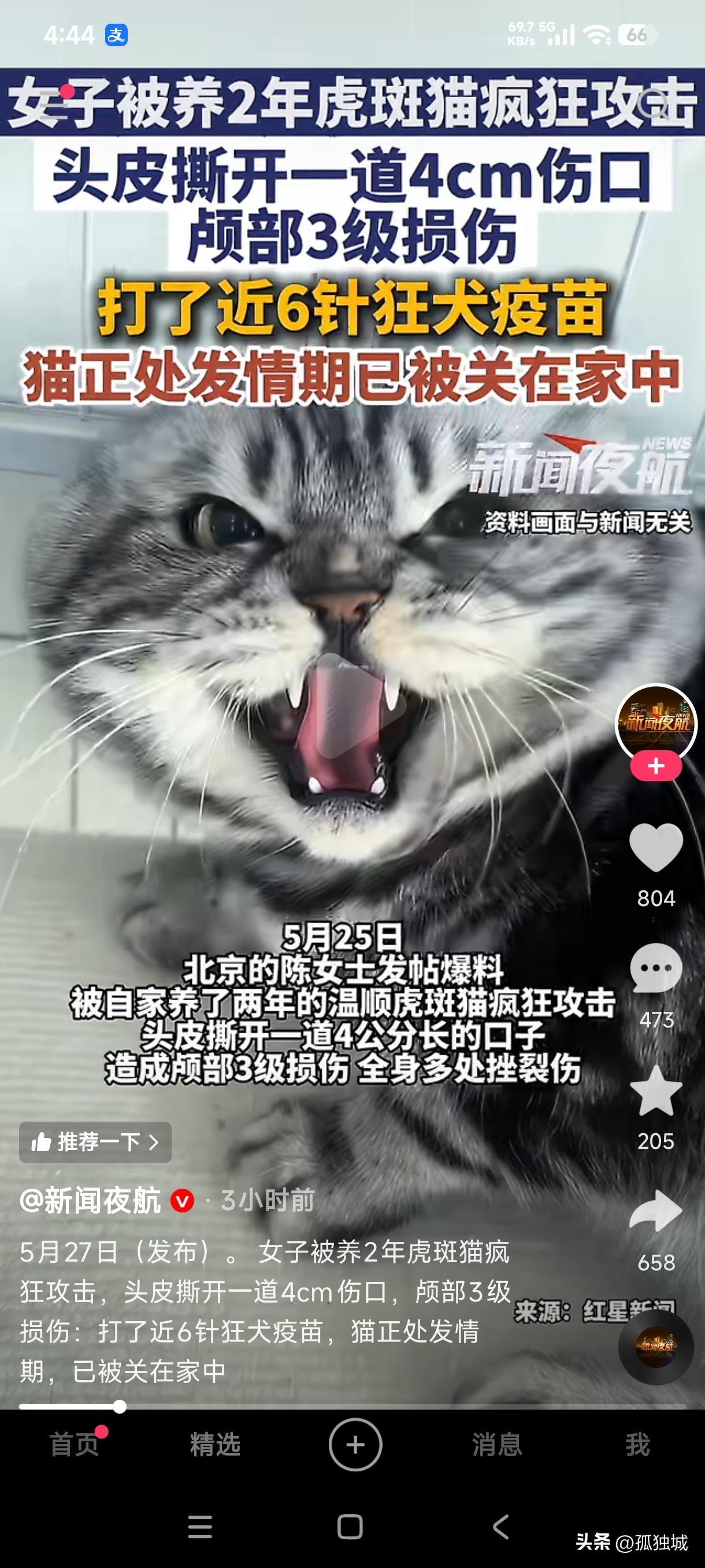 女子被自己养了2年的斑虎猫疯狂攻击，头皮被撕开一道4厘米的口子，颅部3级损伤，全
