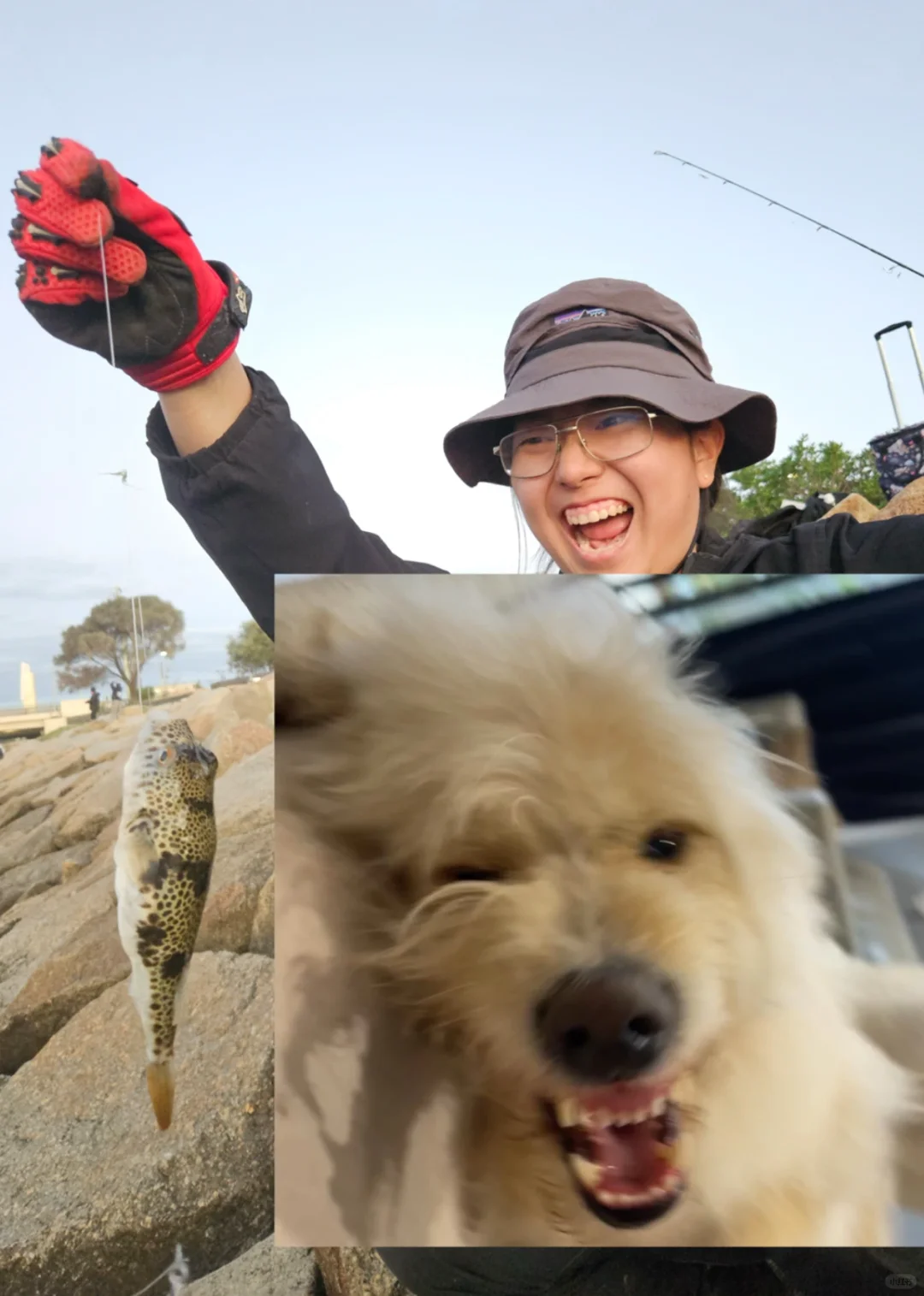 现在知道我跟我的狗长得挺像的了