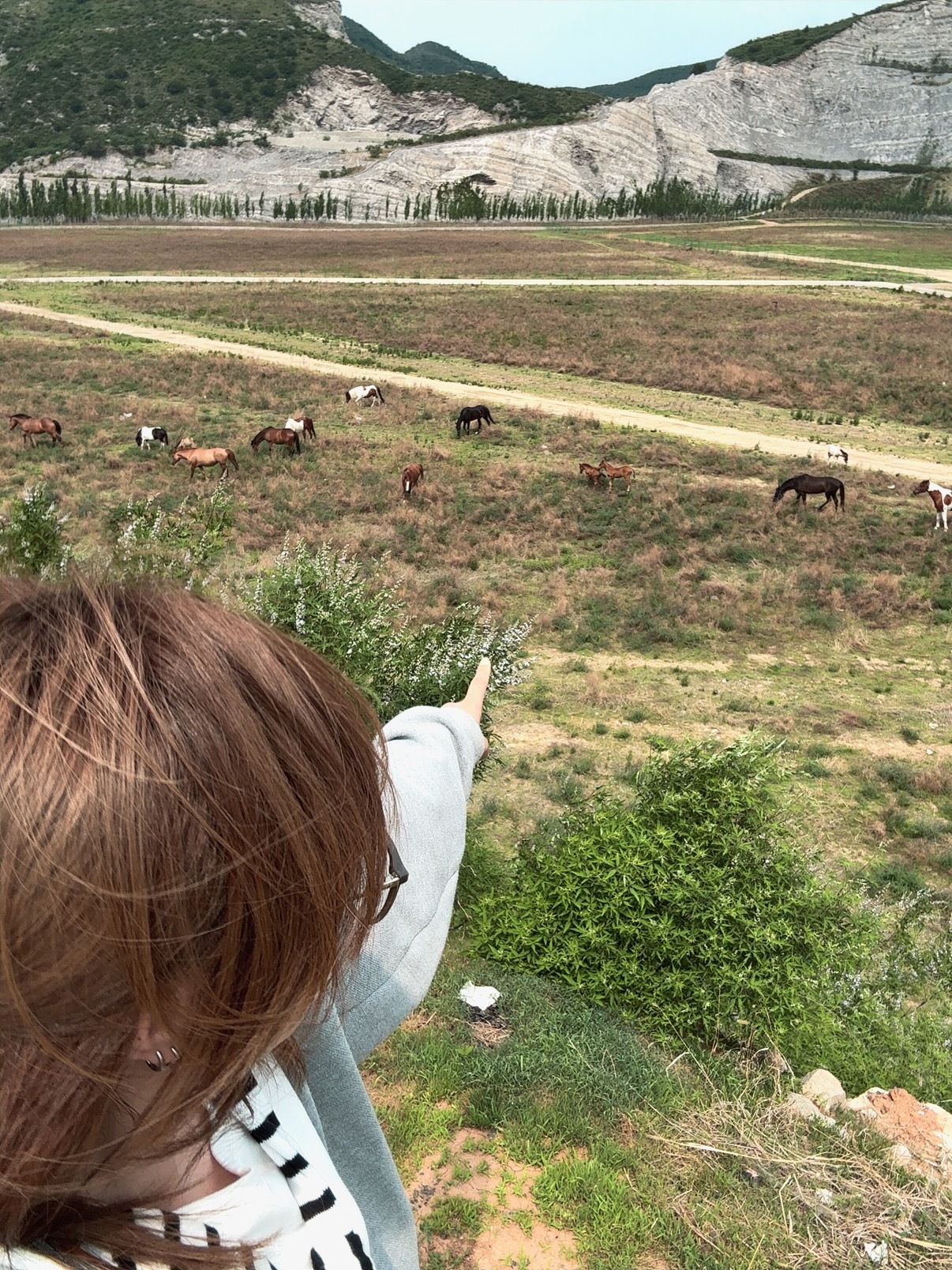我的散光越来越严重了…上山看到远处有很多牛哞哞的跑过去仔细一看原来是奶牛皮肤的马
