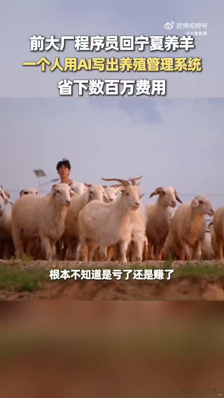 大厂程序员辞职在宁夏用AI养羊外包团队不懂养殖行业细节，做出来的系统水土不服，自