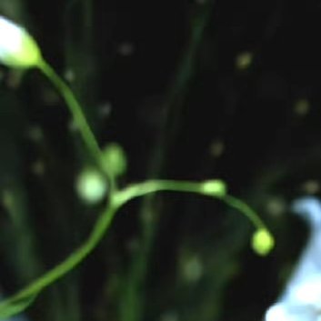 每日一善‎每日一善 ‎阳光‎信用 梦有多燃，就能飞得多远。时时有所创造、事事有所