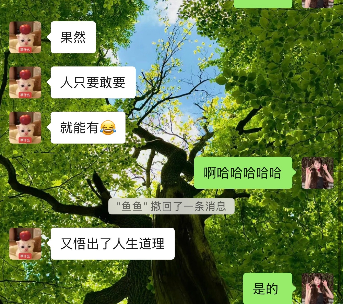 敢梦敢做 敢想敢要哈哈哈哈 
