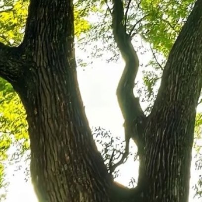 龚俊每日一善 人人存善念，并能日行一善，则个人、家庭、社会一定安乐祥和。这世上，
