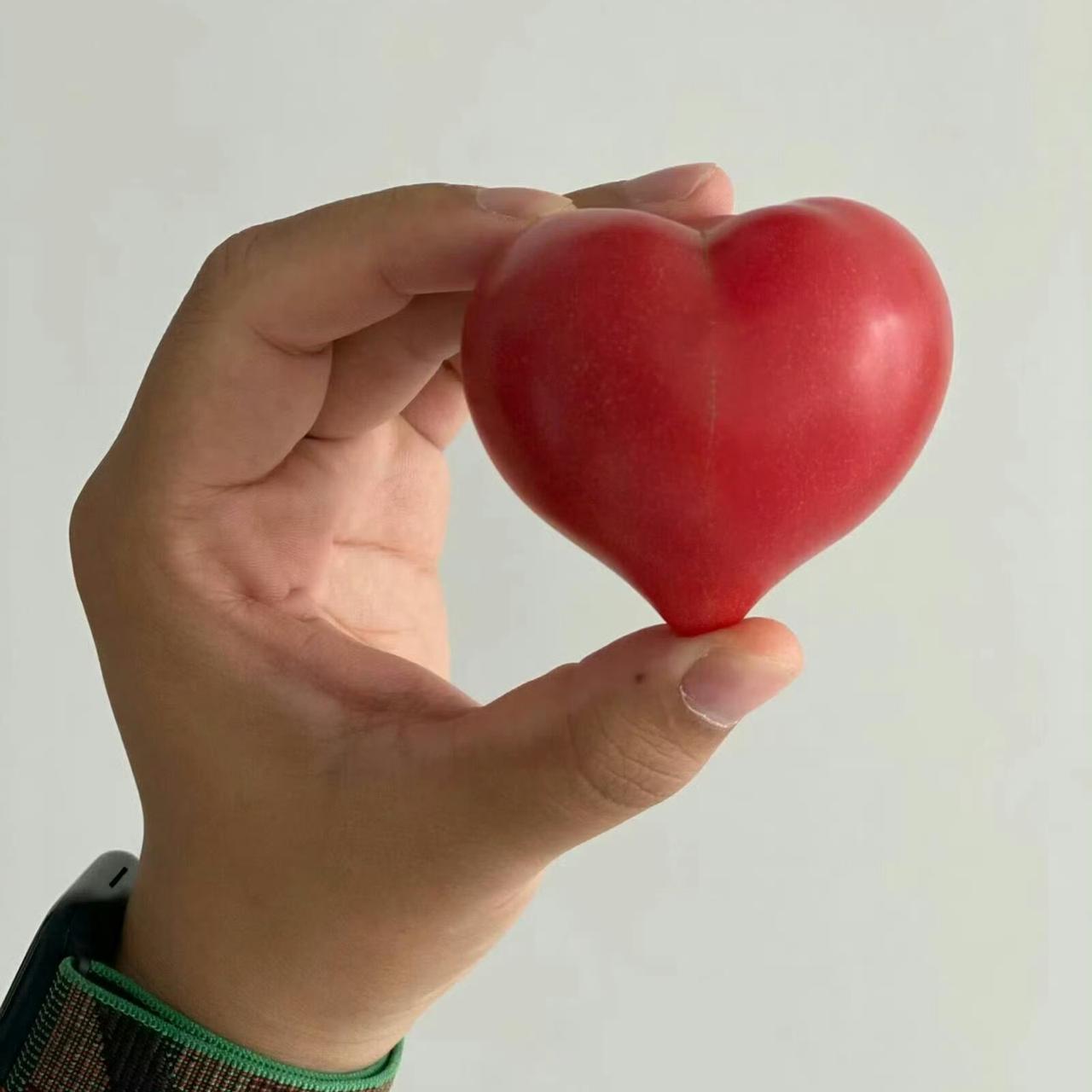 ❤心的形状，爱心，真心，甜心，手捧爱心，满满的爱意，你爱哪一颗心❤？