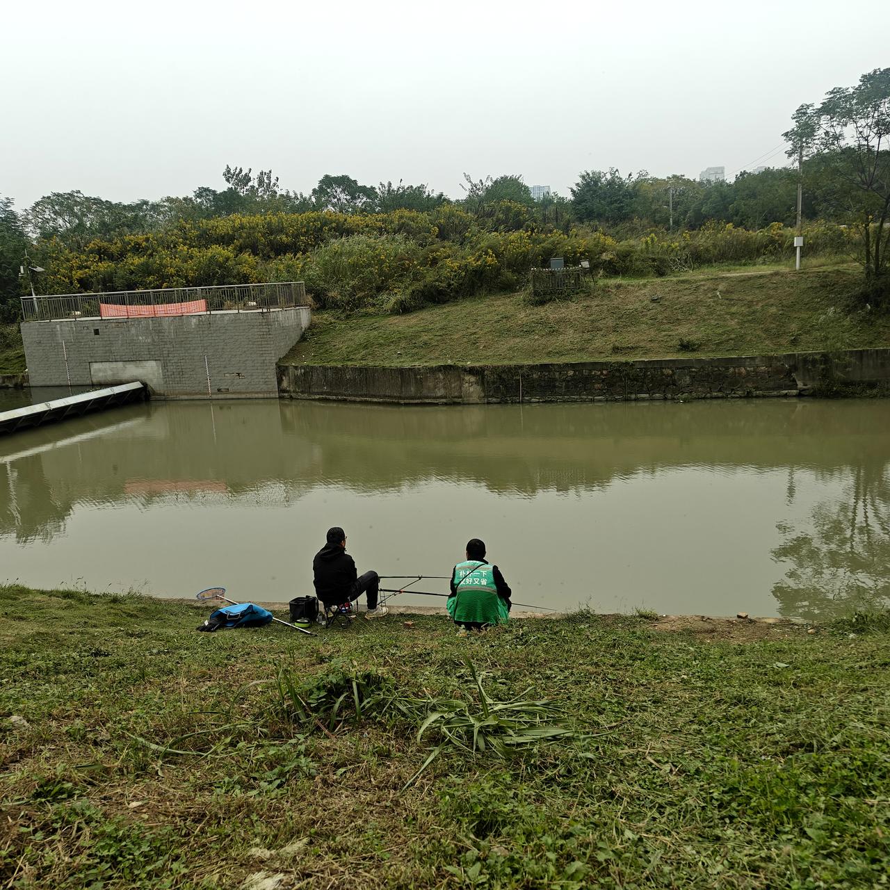 好多人早早盼着团圆、热闹过年，可我，一点都不想过年。
不是不爱年味，是成年人的年