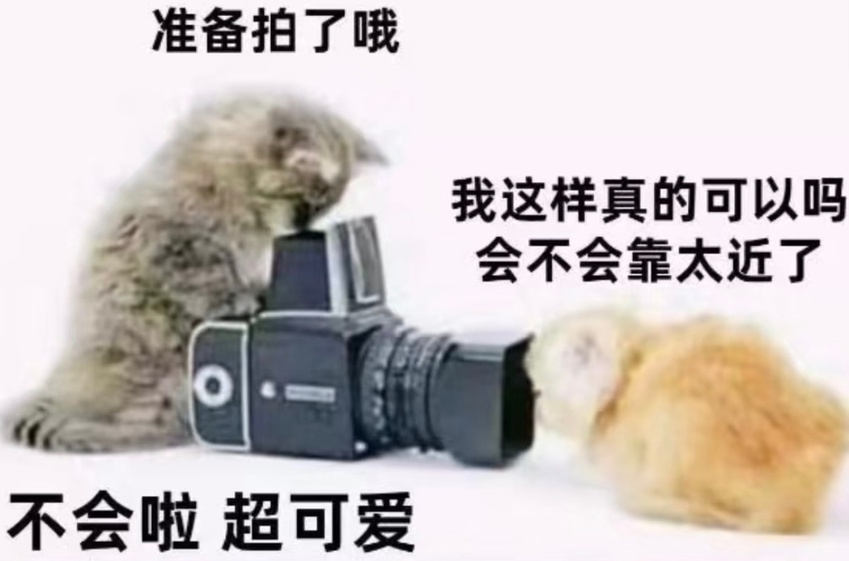 李煜东 🐱 