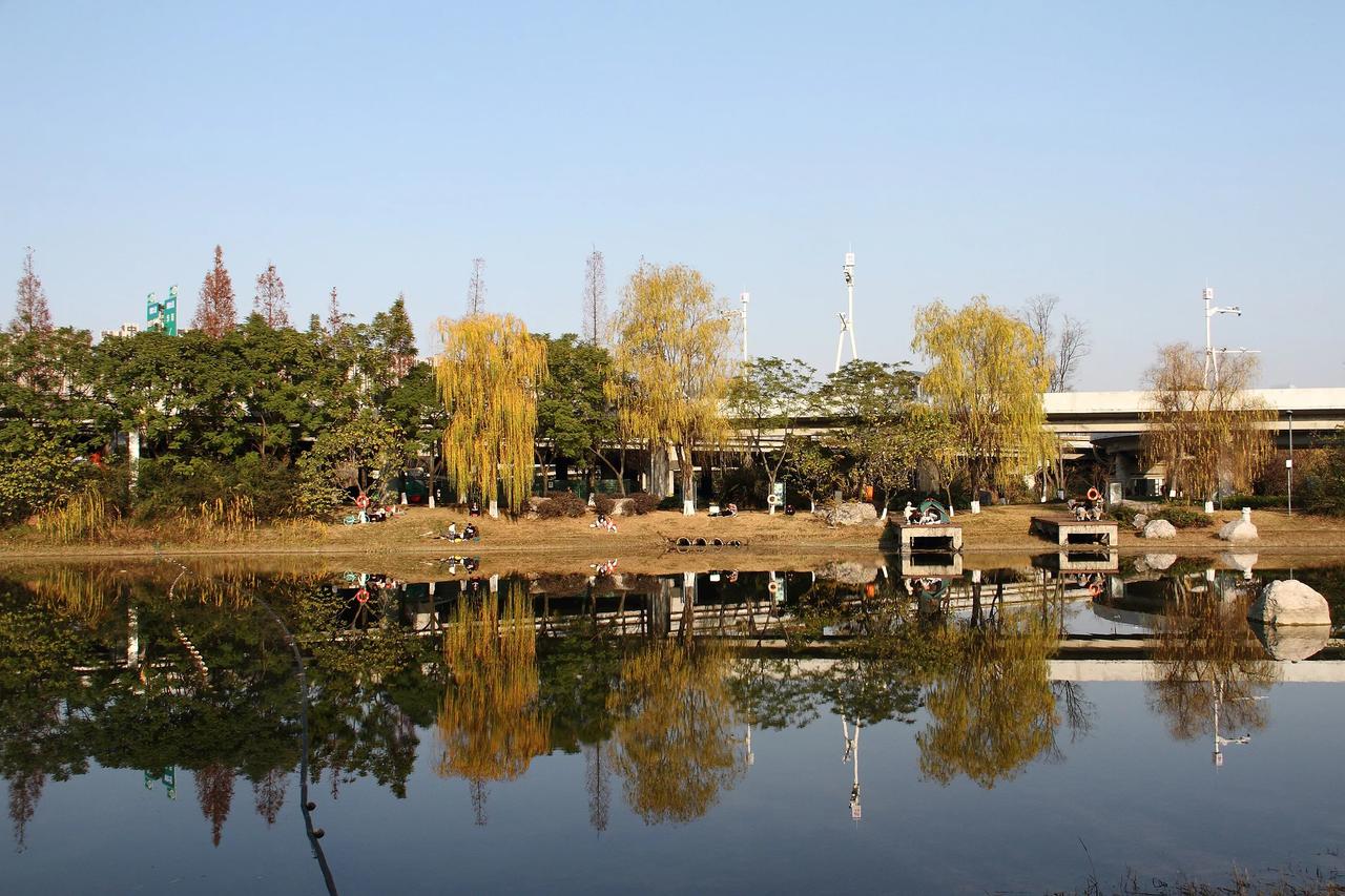 【冬日打卡 锦城湖徒步 二湖三湖随拍】20250102

12月17日，冬日打卡