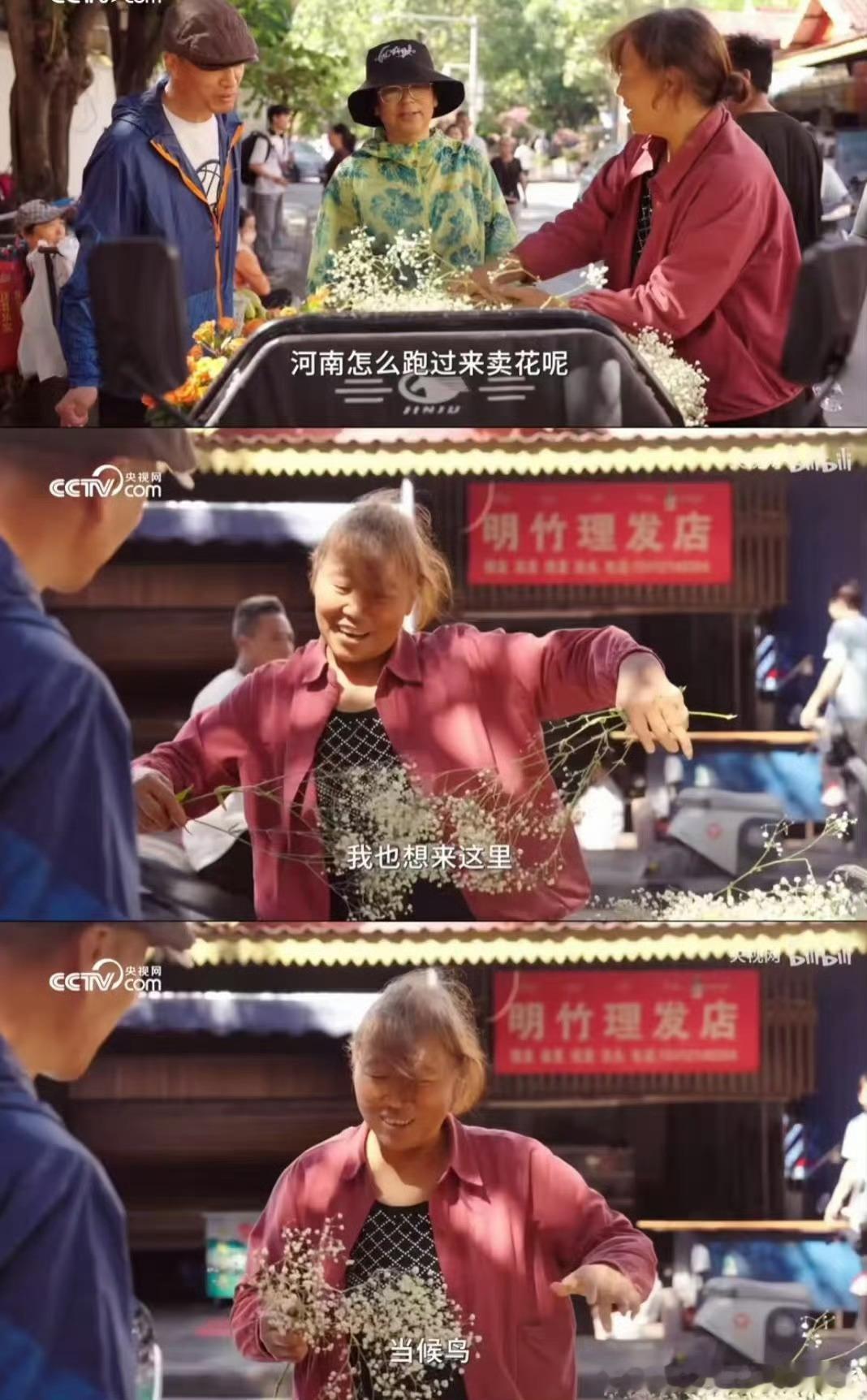 麦子阿姨来东北了  从南到北追梦行，麦子阿姨爱上东北情，天冷冻不住热心肠，这旅行