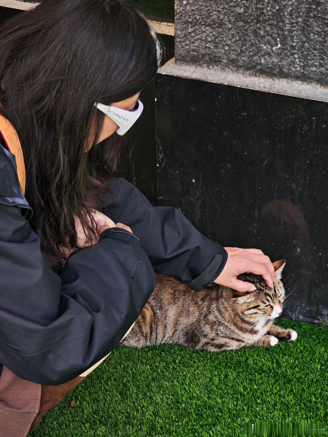 馋猫，真是馋猫啊！🐱 ​​​
