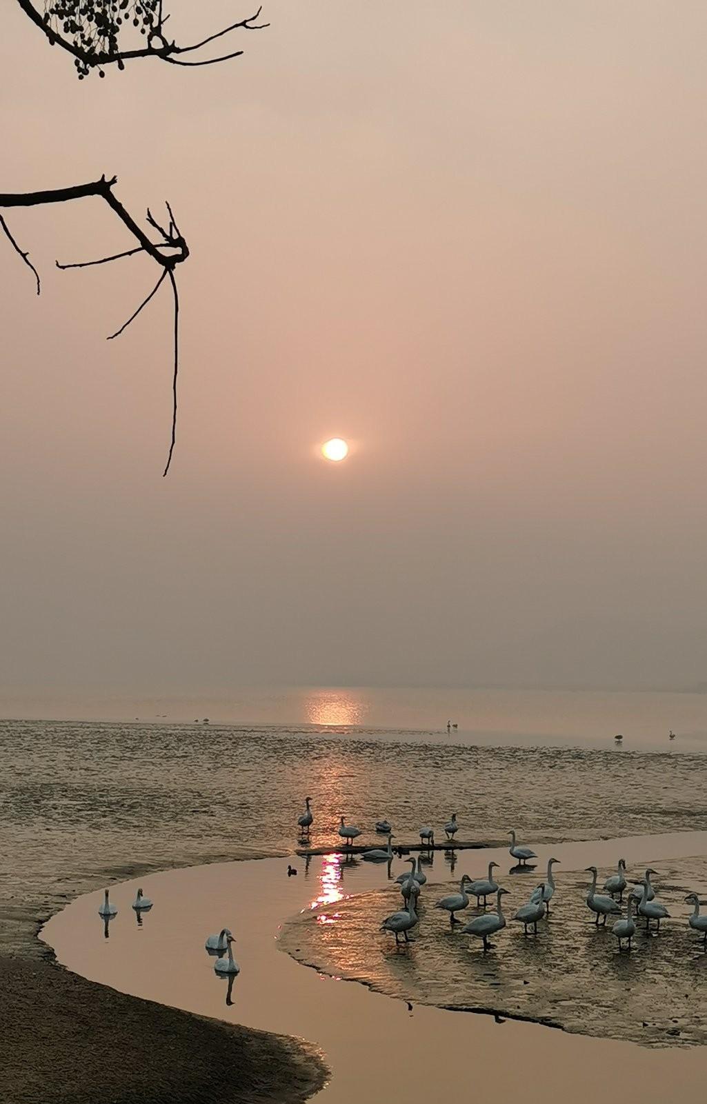 我的钢琴课112——偷懒儿了。放假了，天冷了，快过年了，孩子放假回家了……各种理