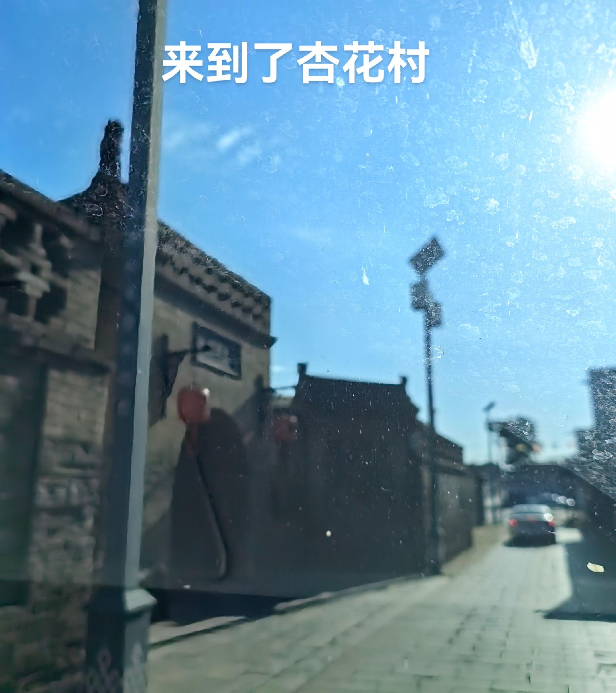 来到汾阳杏花村。不见牧童，不闻牧笛，可我还是很开心。