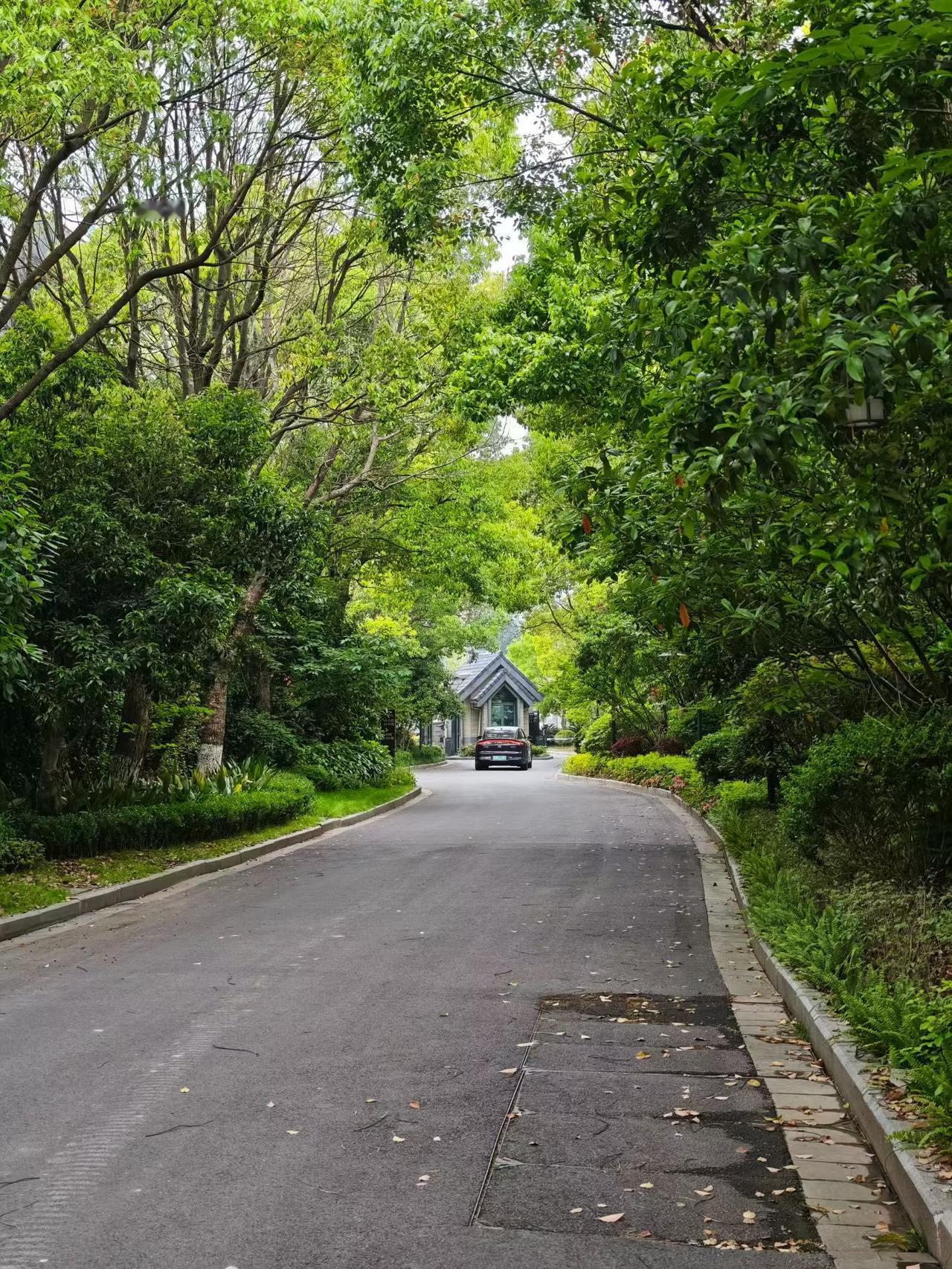 条条大路通罗马