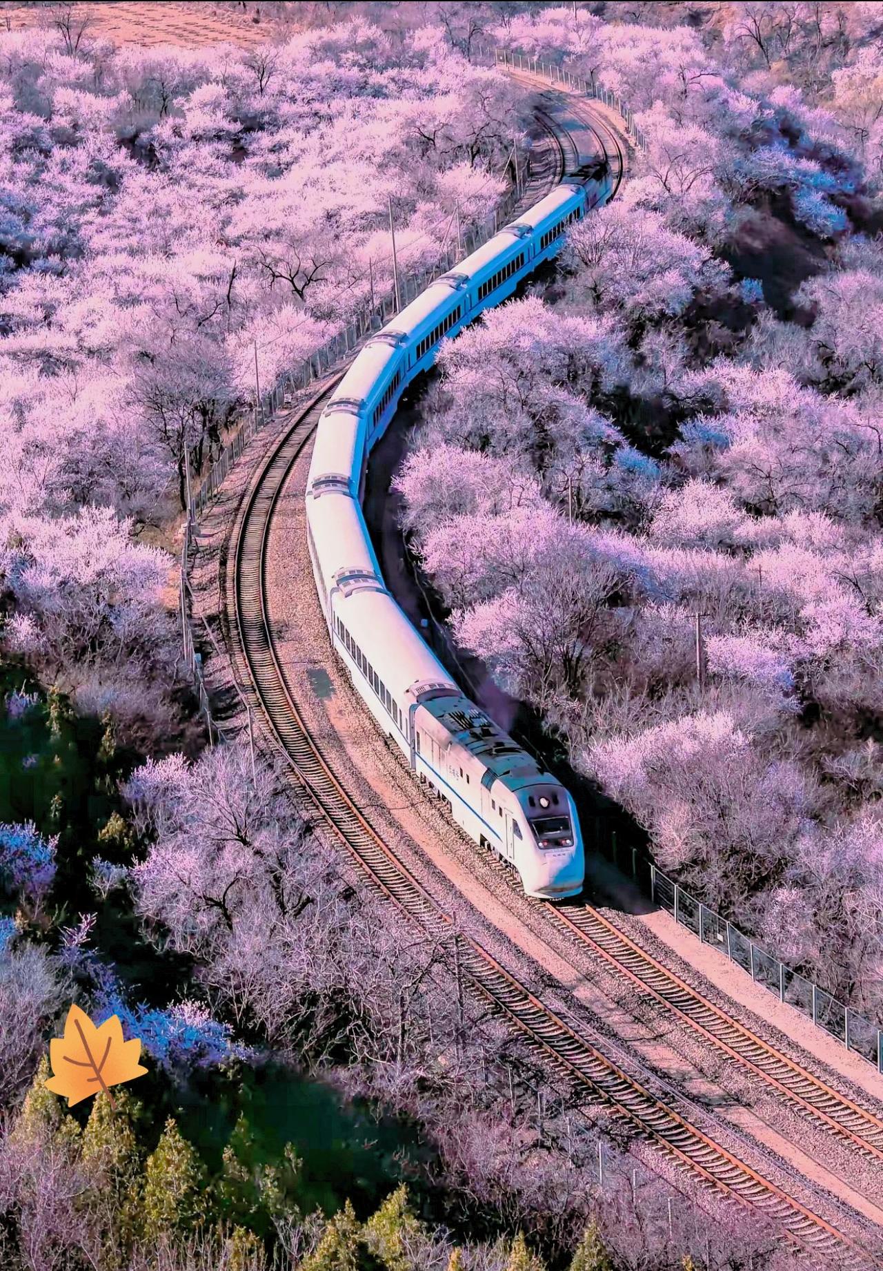 什么是隐私？看完只有沉默！
重庆市民政局一退休领导被举报：又是一场因“个人隐私”