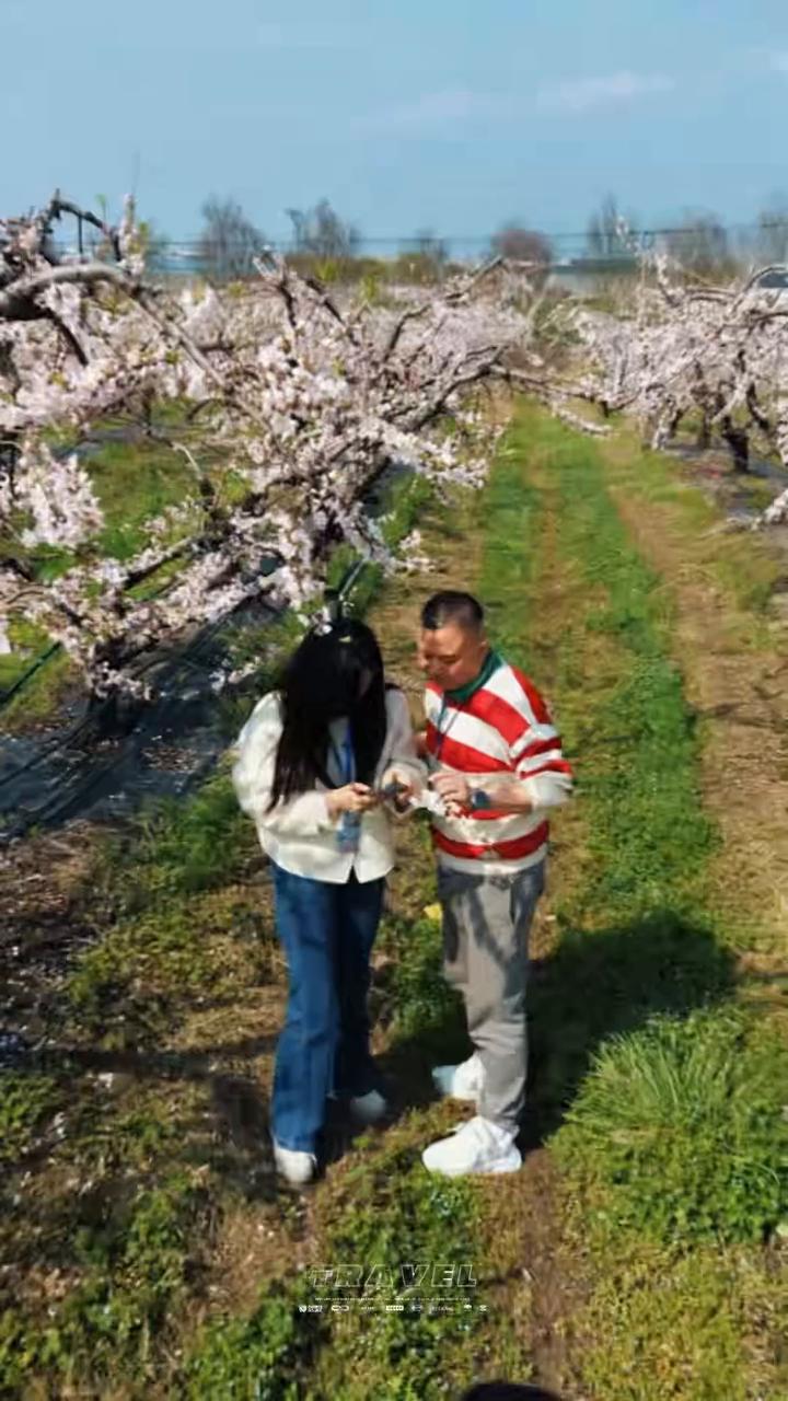 孝昌繁花。
蕊中有光，看看你爱的，告诉他们你爱他们，这就是光。