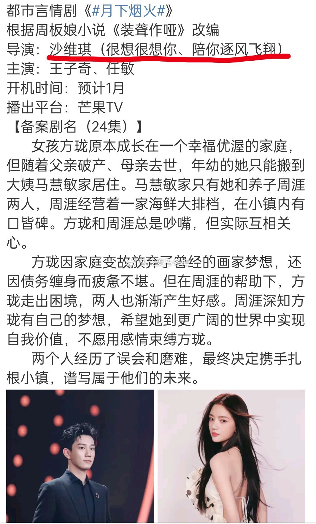 非常普通的一个饼，非常平淡的剧情而且看备案更偏大片女主 