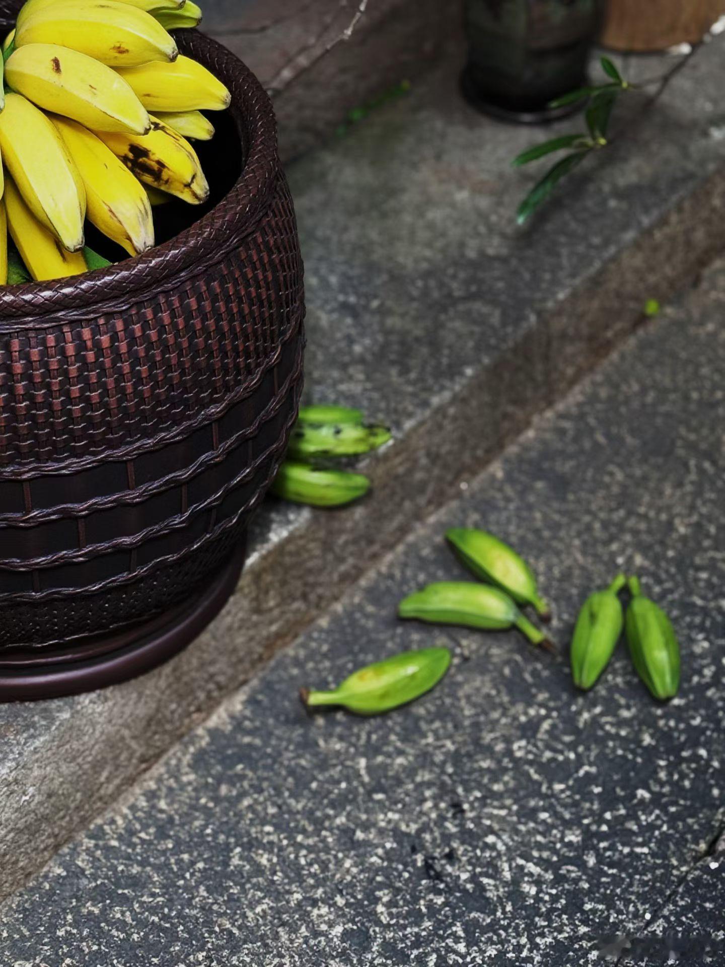 感恩是生命最温暖的光芒，一个感恩的人，一定是个知足、心怀美好的人。感恩是立身之本