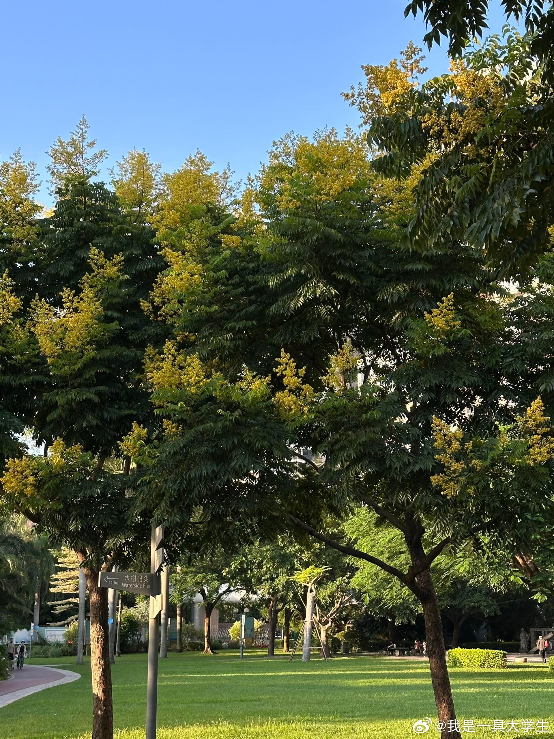真正的休息 让身心找到最舒适的生活状态假期的每一天睡到自然醒慢慢喝水 早晨拉伸唤