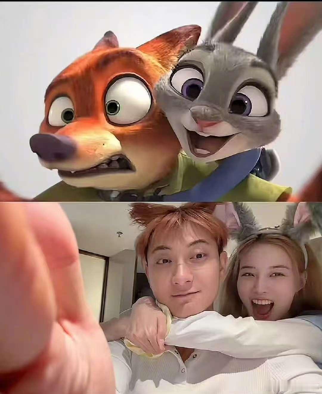 黄子韬徐艺洋朱迪尼克照黄子韬徐艺洋cos朱迪尼克黄子韬徐艺洋朱迪尼克照，低成本c