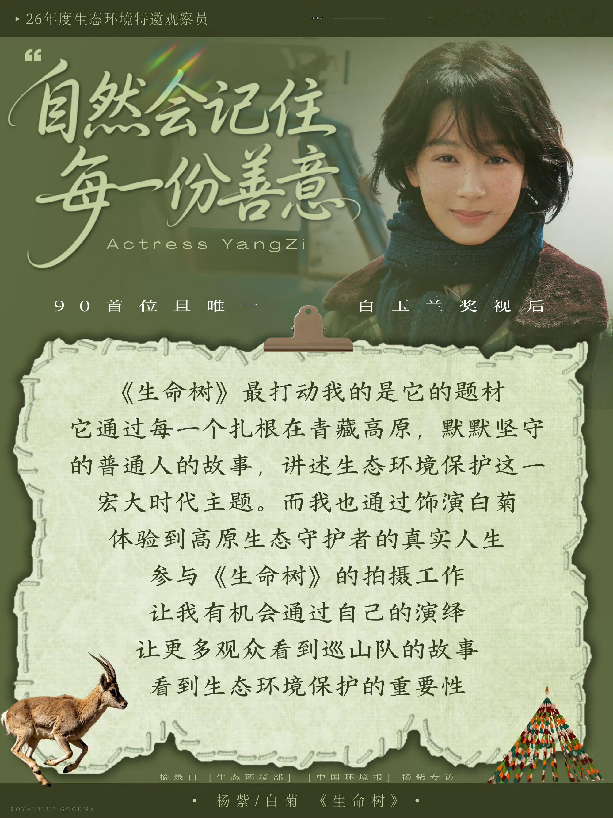 杨紫杨紫白菊 大地绘就的斑斓，是生命的延续，是希望的象征，也是白菊成长的地方杨紫
