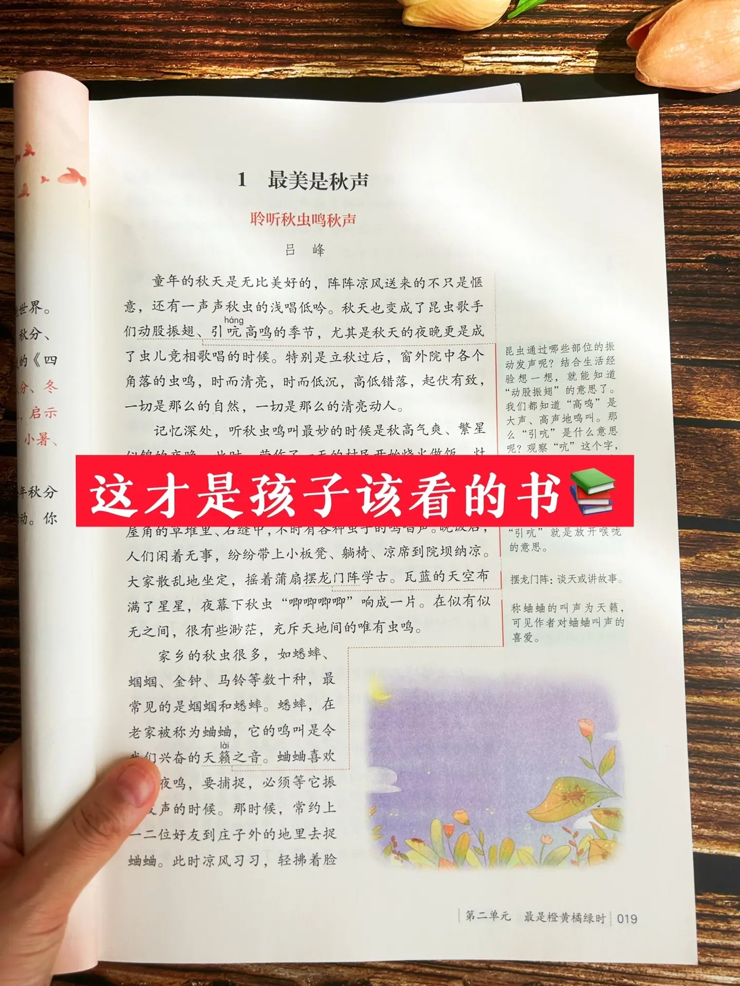 《人民日报》伴你阅读，同步课本的拓展‼️。重点锻炼理解与表达，实用性强...