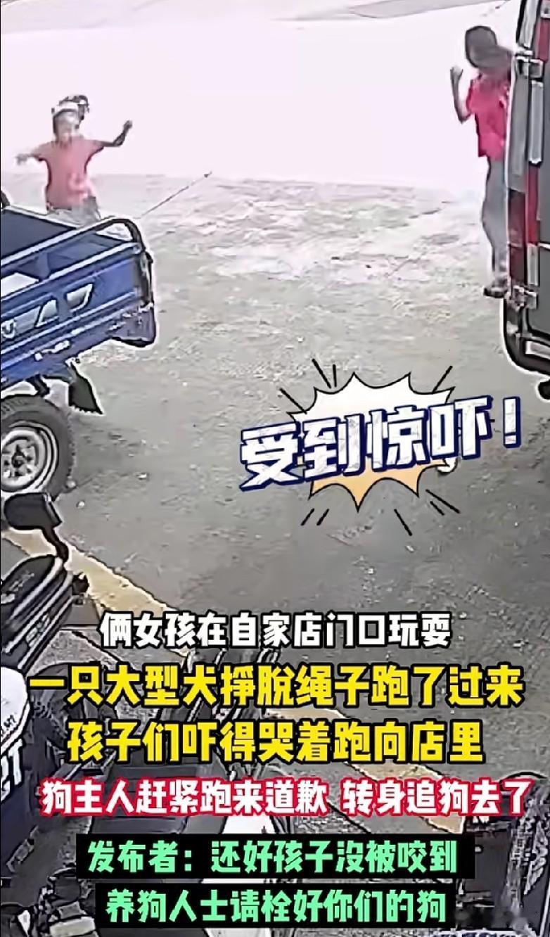 狗患越来越严重，不道德的养狗人遍地都是。两个孩子只是在自家店铺门前玩耍，却险些被
