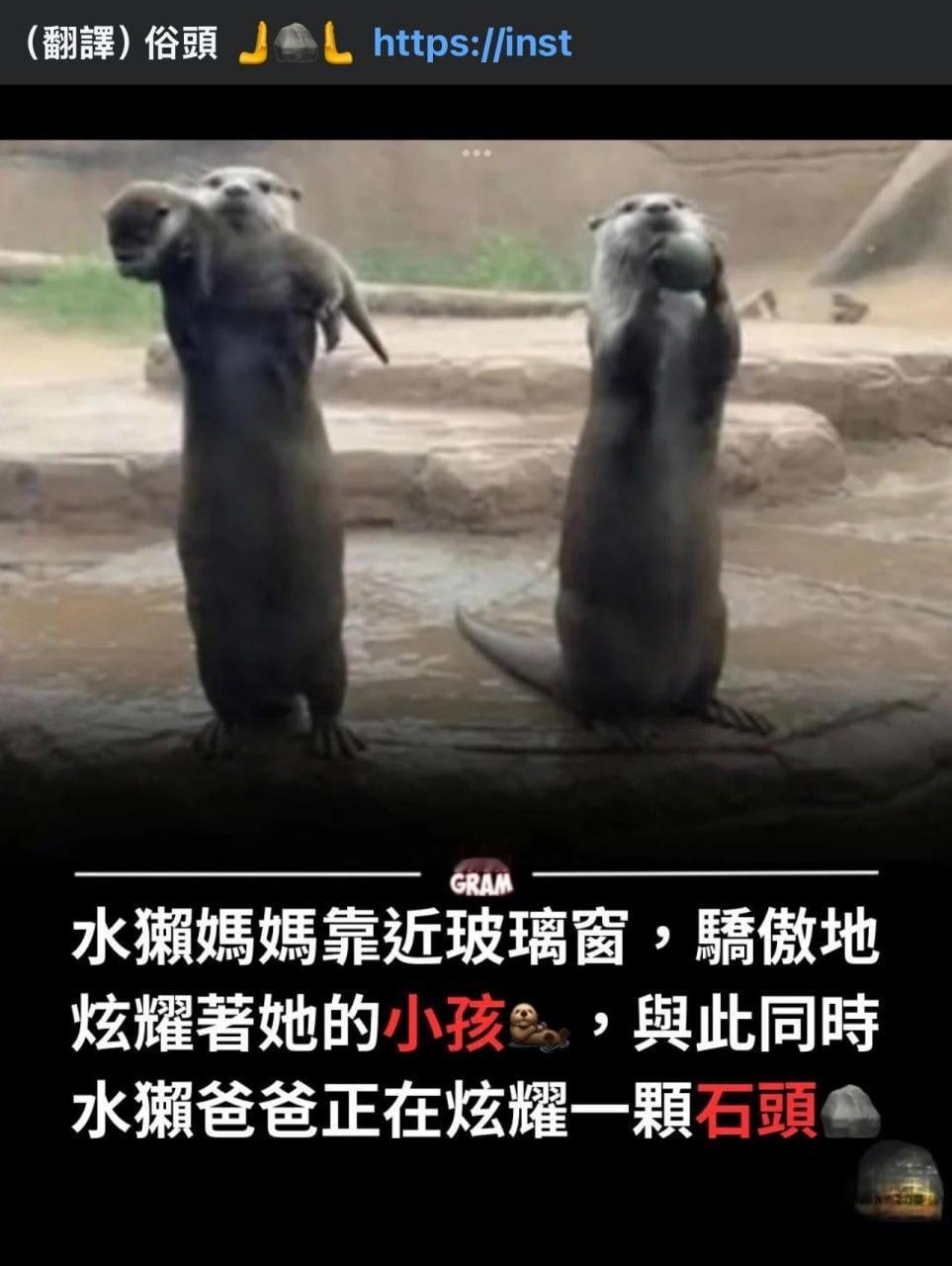 俗头🫸🪨🫷 