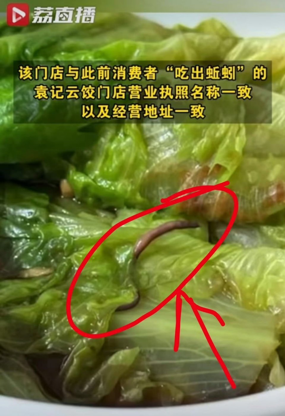 袁记云饺已被立案调查 吃出蚯蚓，也实属有些离谱……食品安全不容忽视，必须调查严惩