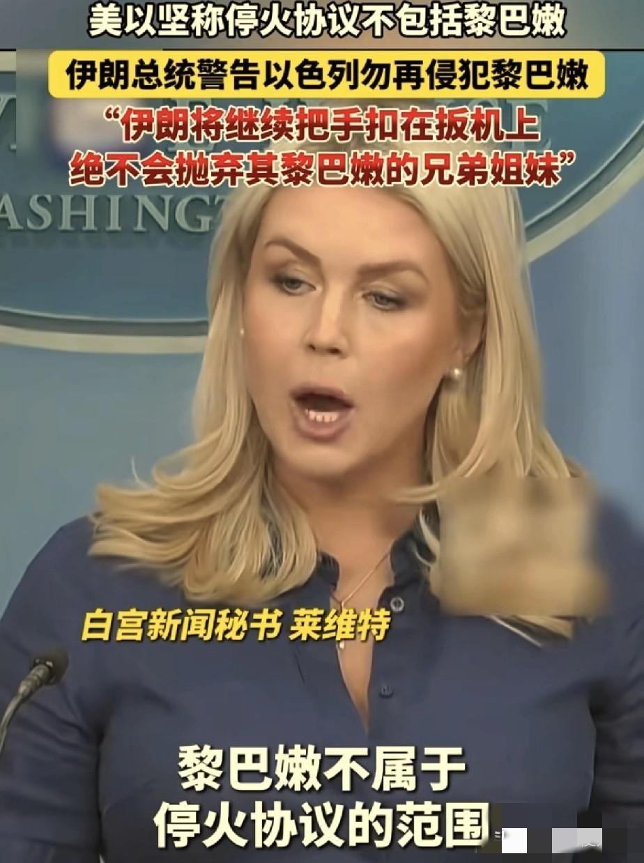 史诗级外交背刺大戏上演！

巴基斯坦总理谢里夫满腔热血当起国际和事佬，高调宣布停