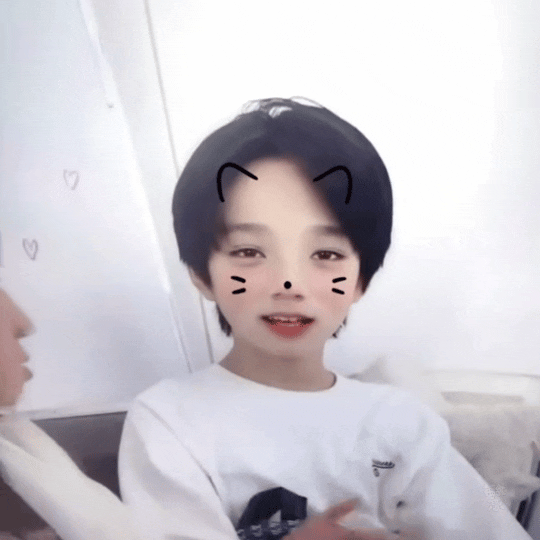 qq豚duangduangduang 