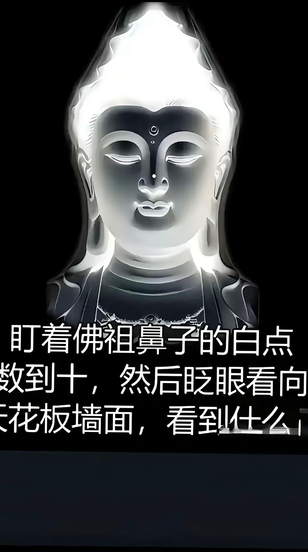 请问你看到了什么