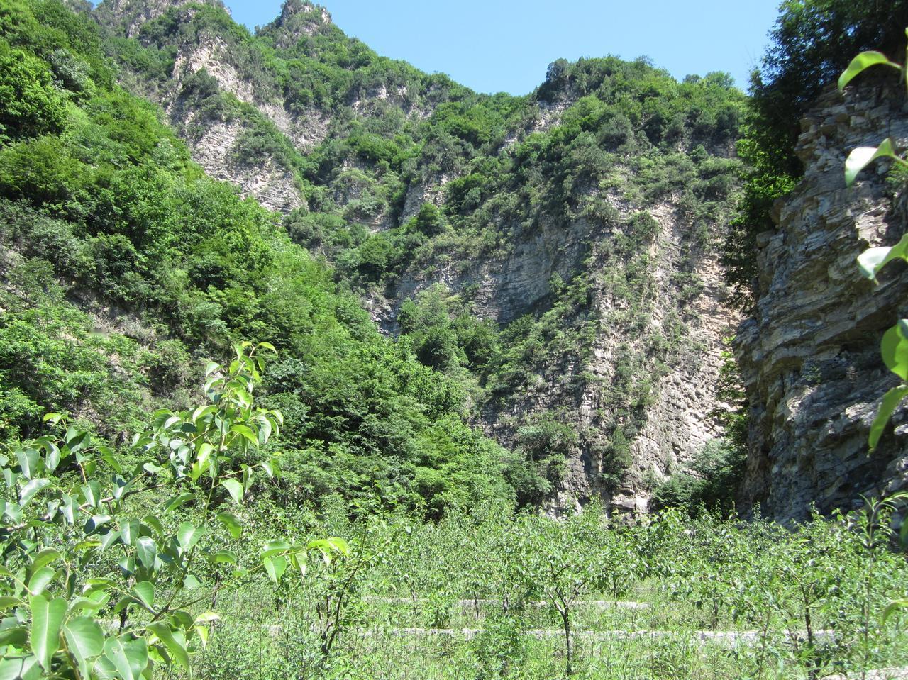 小鹰开始耍赖皮了，也封锁霍尔木兹海峡了，走波斯猫的路，让波斯猫无路可走！不过波斯