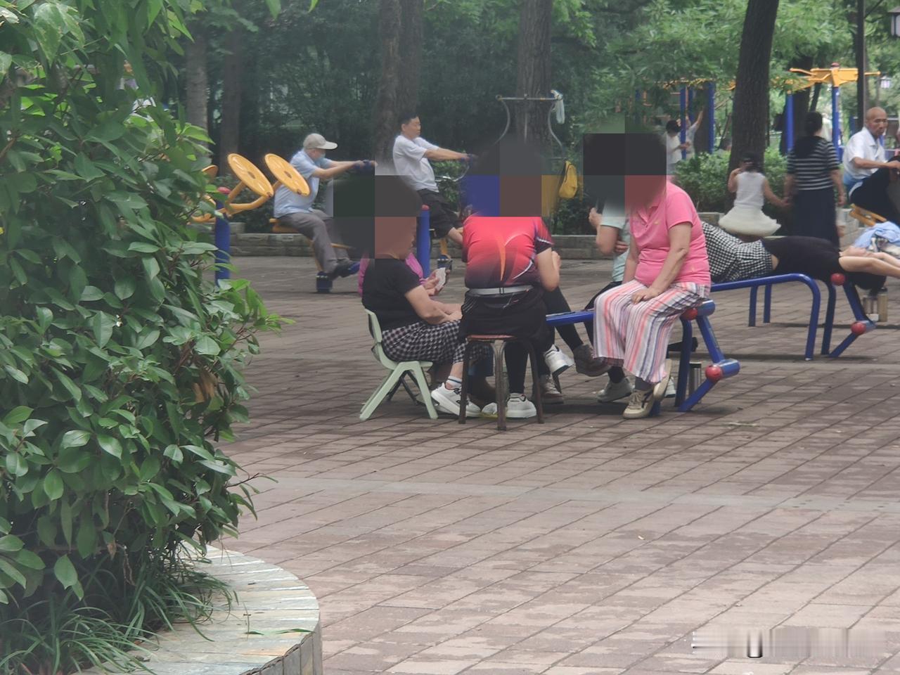 因为下周一、二，郑州就要进行中招考试了，所以公园里进行了降音管控，虽然游园的人很