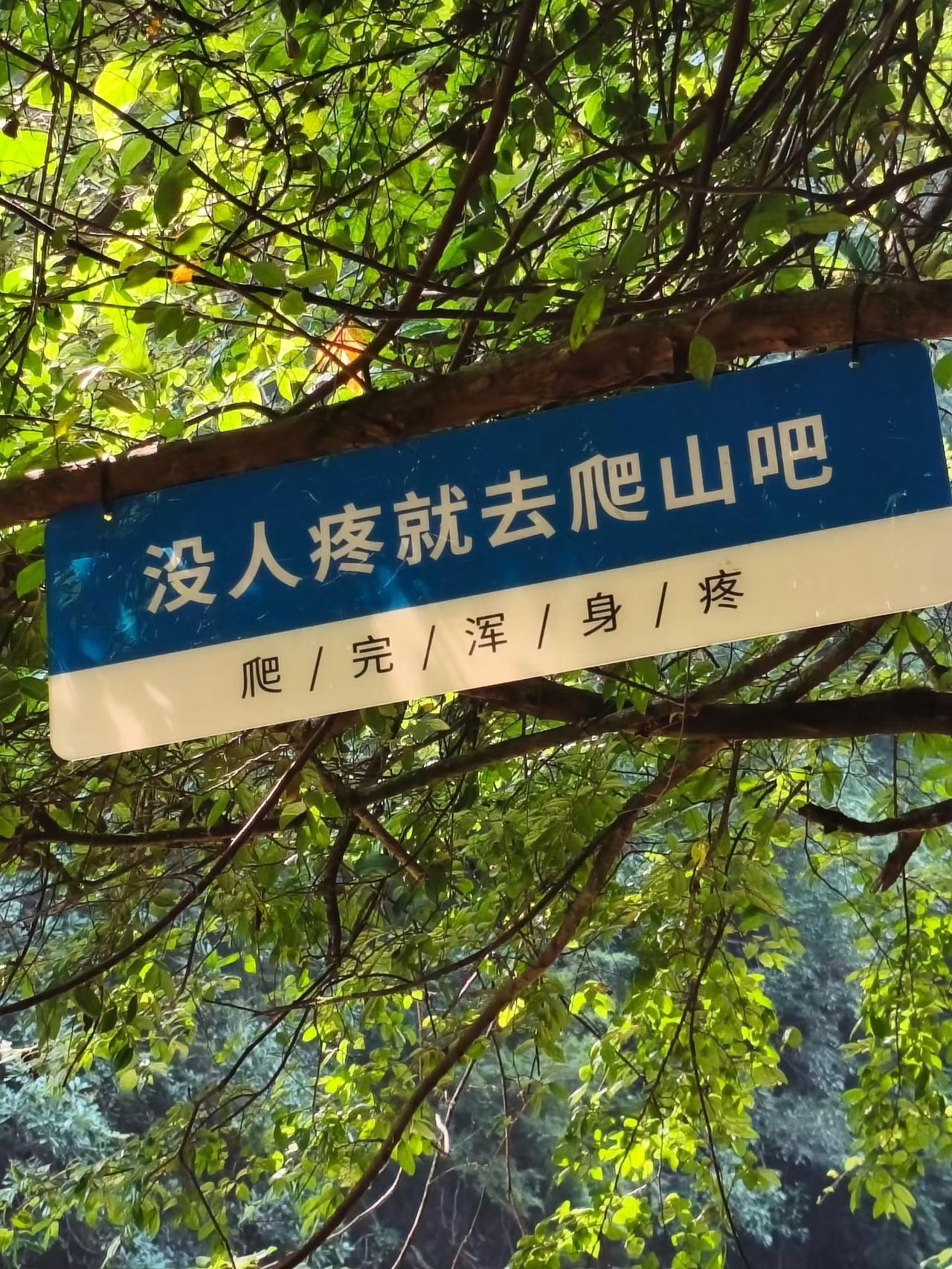 男人念念不忘的白月光全都是冷血无情的女人！

为什么男人念念不忘的白月光，从来都