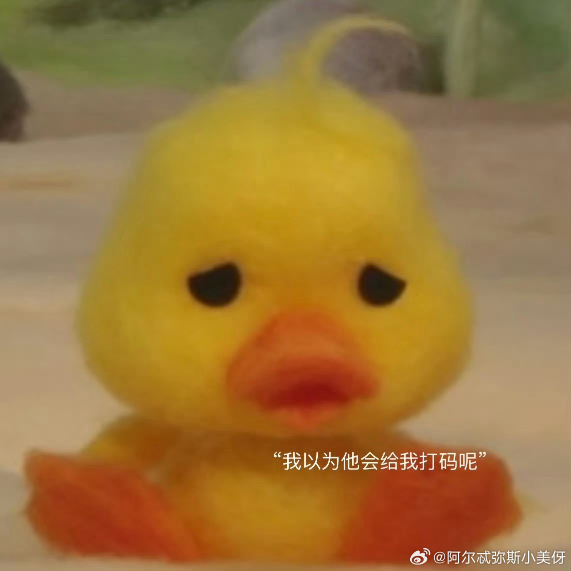 丁程鑫说以为会给我打码丁程鑫好久没吃好吃的了 何老师提起丁程鑫光膀子游泳的视频，