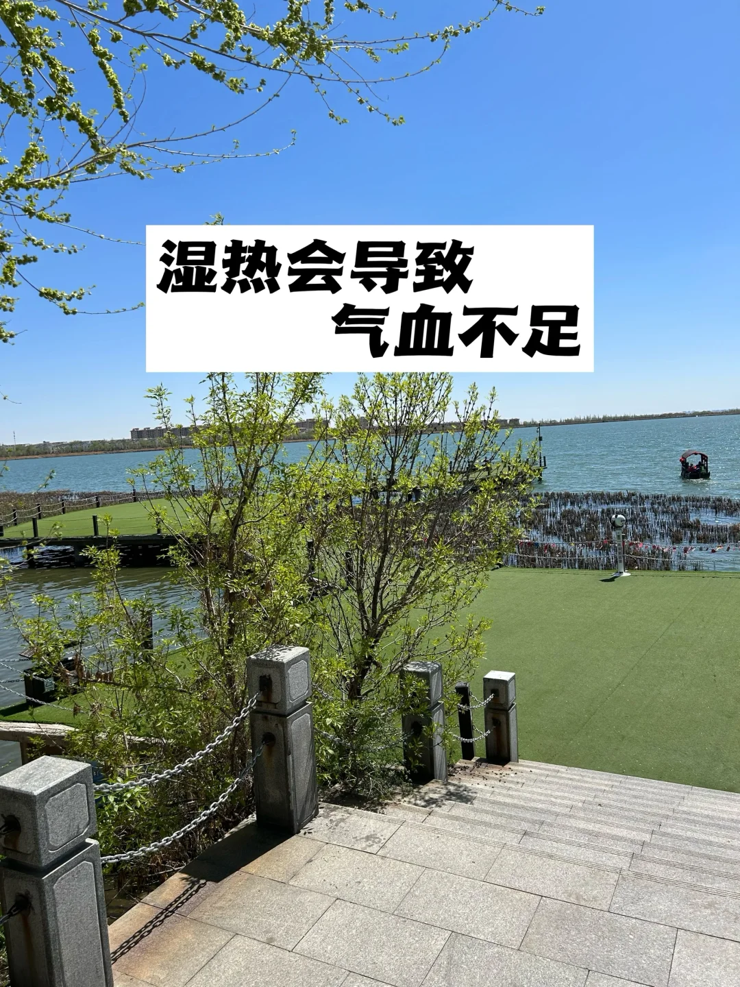 湿热会导致气血不足.