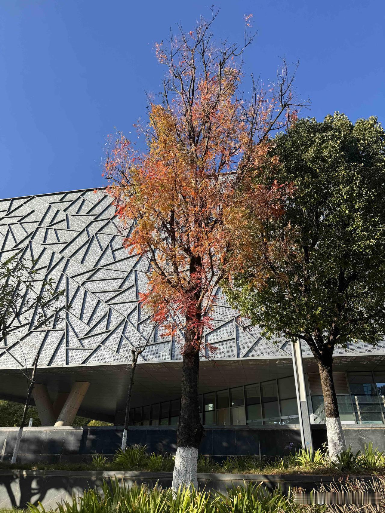 陇川县，下辖4个镇、5个乡，共9个社区居委会、68个村委会，总人口19万人，在云