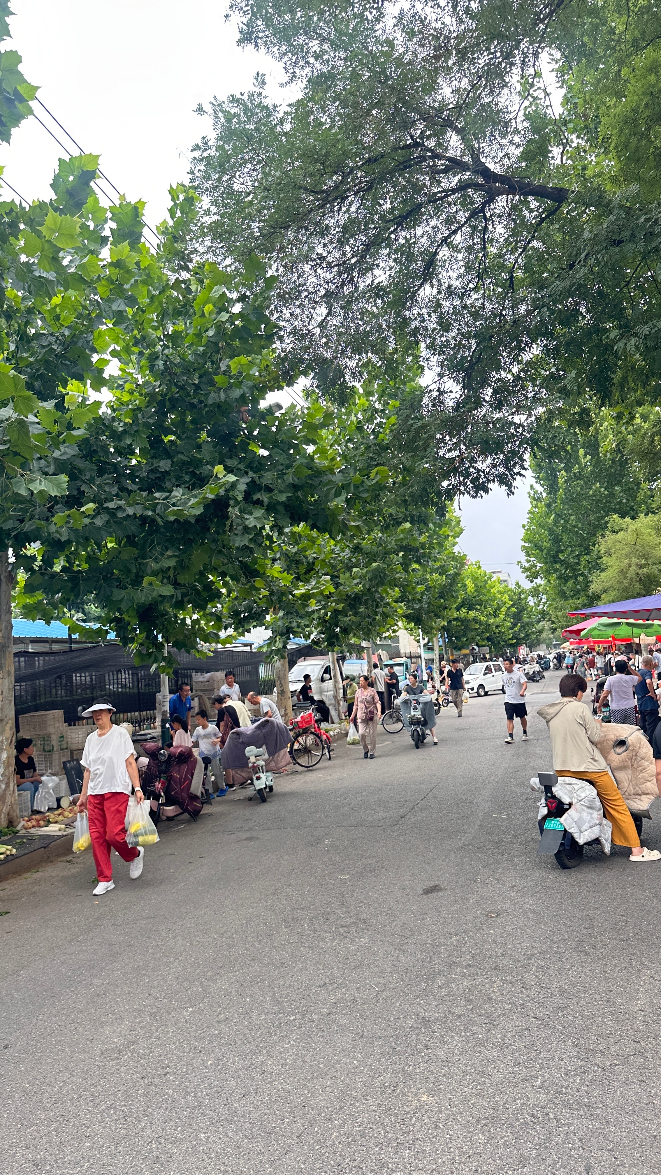 今年头一次逛早市我可能是年纪大了现在越来越不喜欢去超市非常喜欢去逛市场这种充满烟