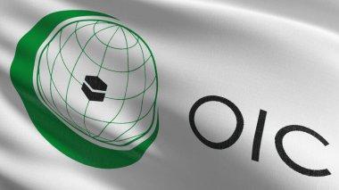 教派裂痕彻底撕破！
OIC公开站队海湾六国，伊斯兰世界统一外壳为何一夜裂开？
 