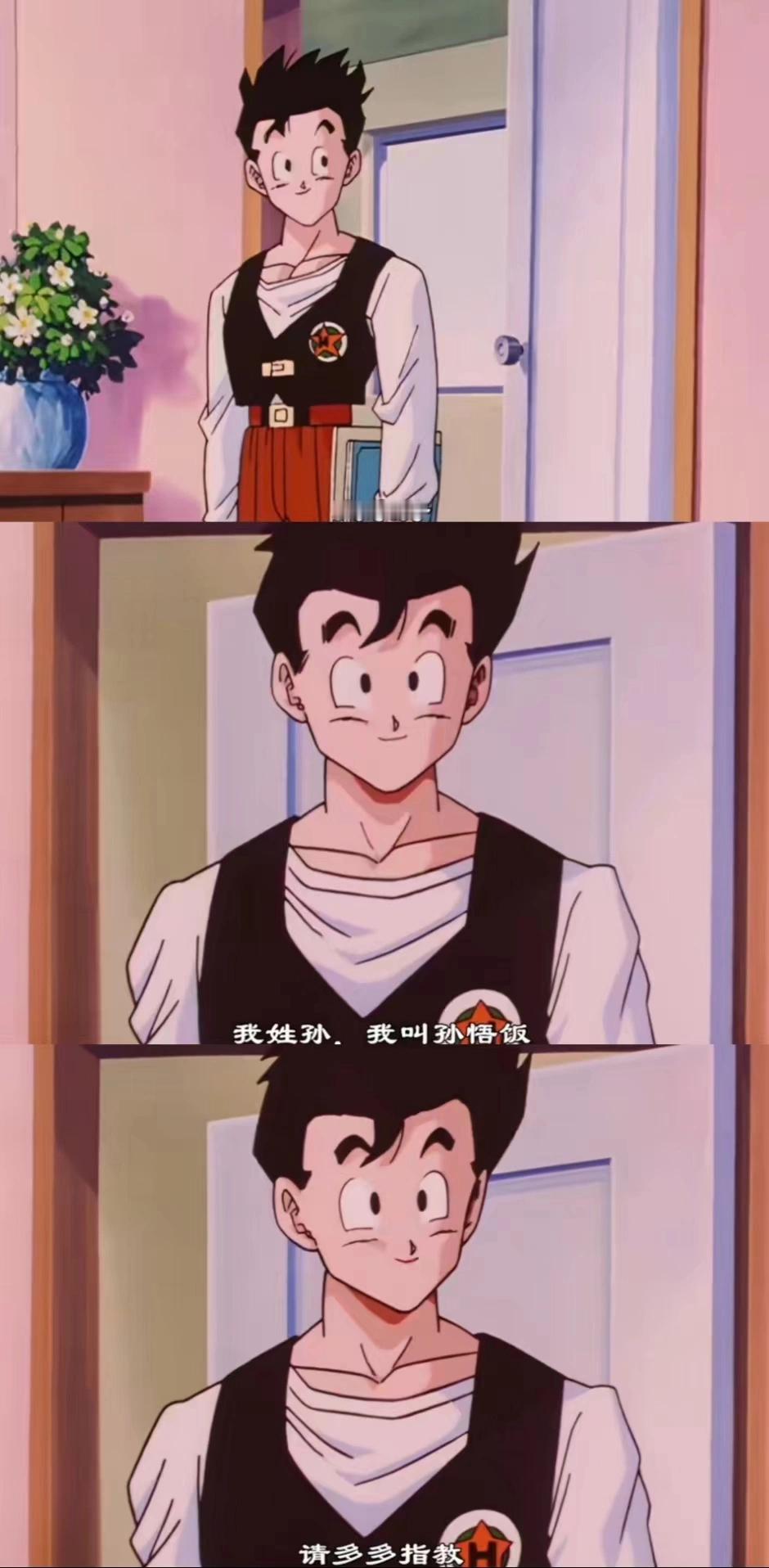 请问悟饭是怎么做到文武双全的？太酷啦悟饭，又能打，成绩还好，难以想象各科都是满分