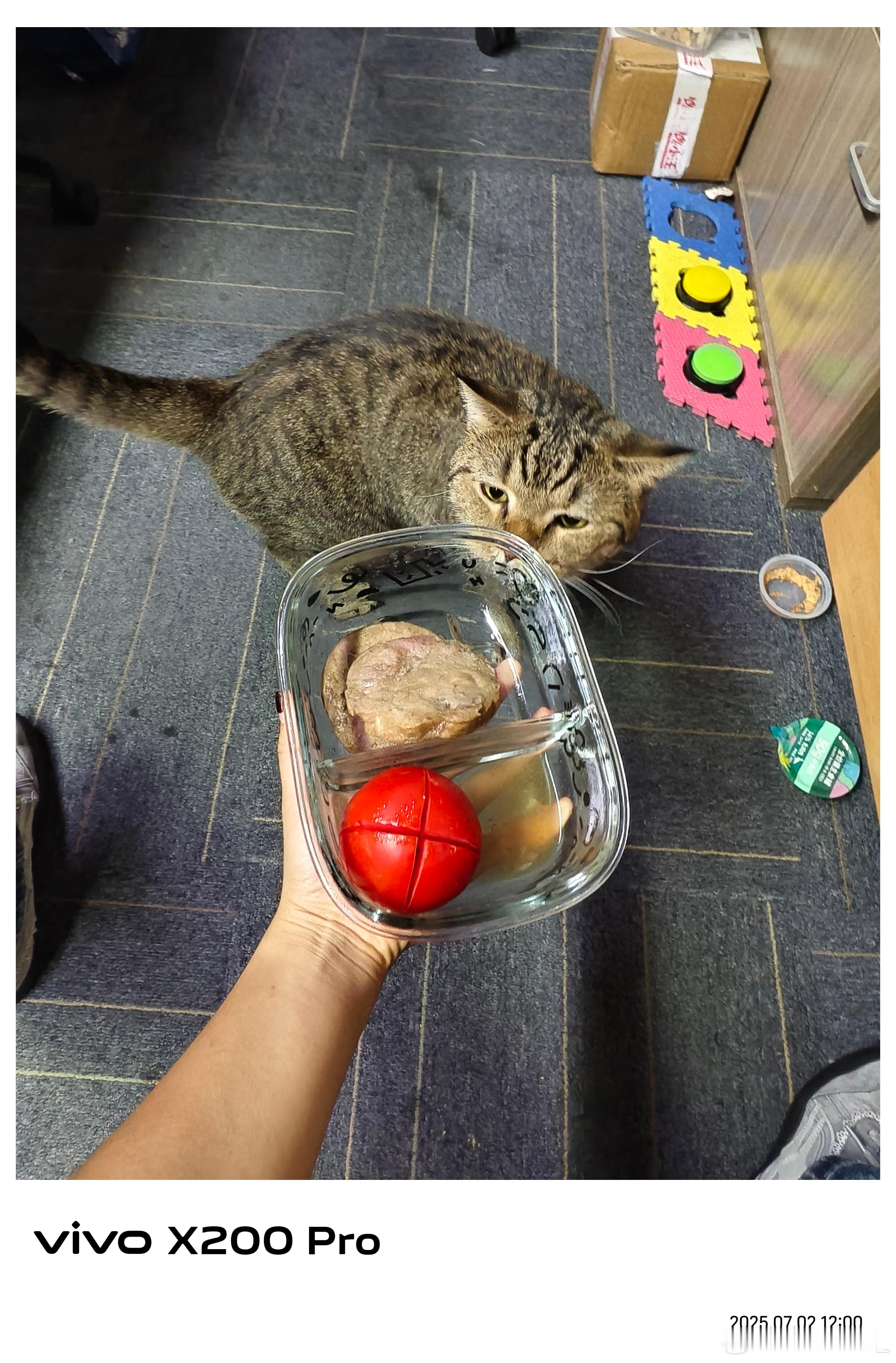 自己的午饭不吃[可爱]天天惦记别人碗里的 ​​​