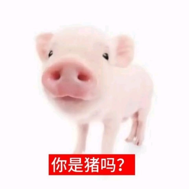 最怕同担脑子是🐷 