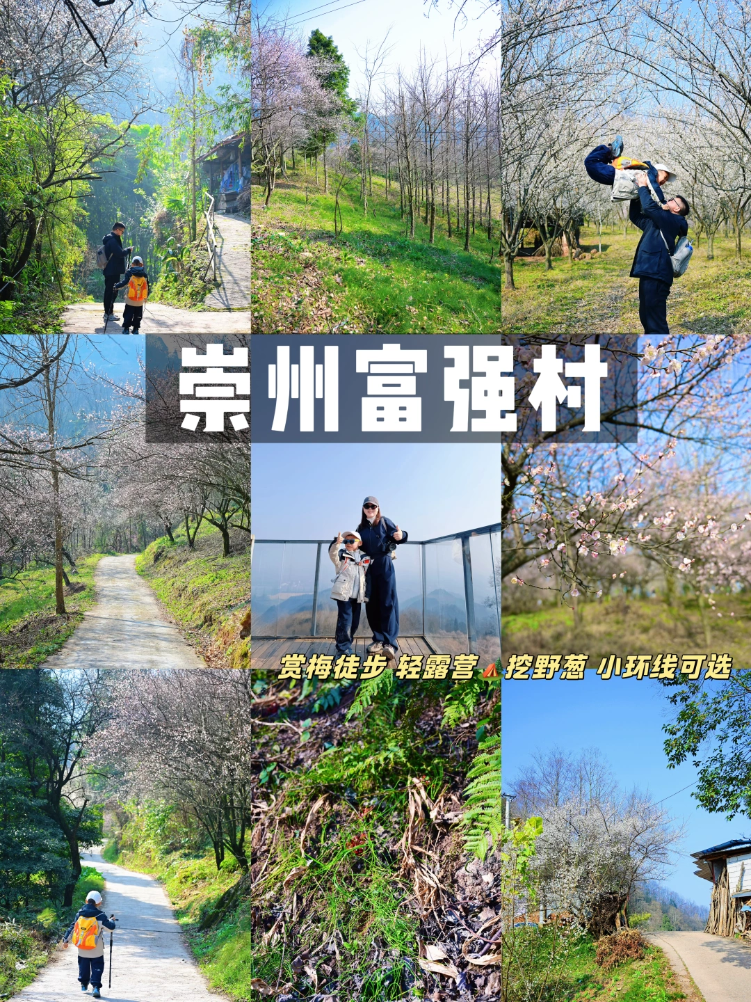 是谁还没来‼️崇州小众人少的亲子赏梅路线