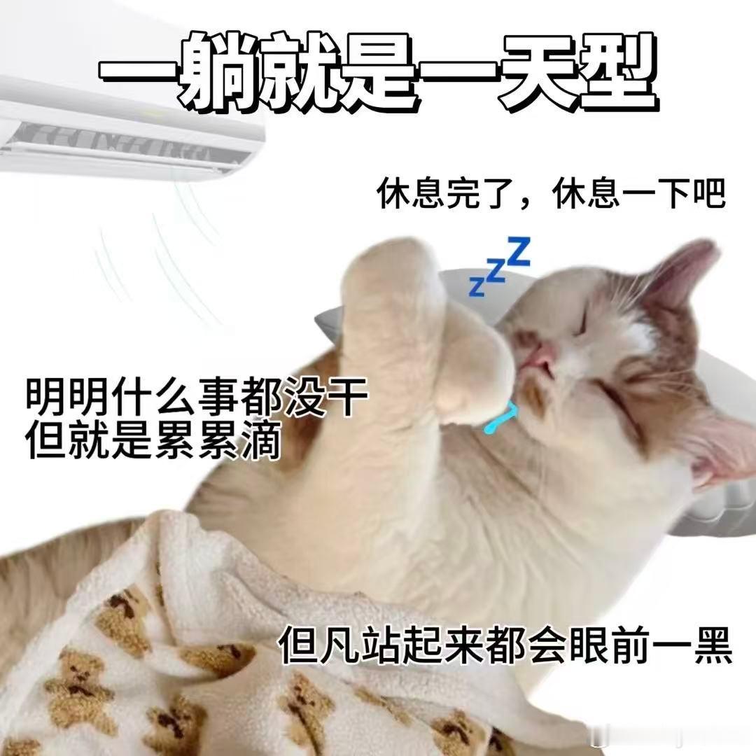 周末计划vs实际周末周五立志亲手做饭，周六面对空冰箱还是选择点外卖。费时下厨不如